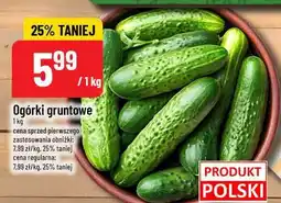 Polomarket Warzywa ogórki gruntowe POLOmarket oferta