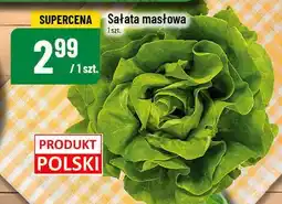 Polomarket Warzywa sałata masłowa POLOmarket oferta