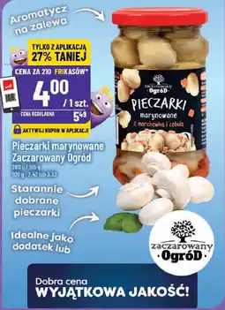 Polomarket Pieczarki marynowane Zaczarowany Ogród oferta