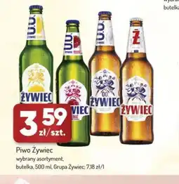 Avita Piwo Zywiec oferta