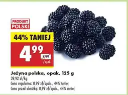 Biedronka Jeżyna polska, opak. 125 g oferta