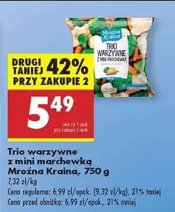 Biedronka Trio warzywne z mini marchewką Mroźna Kraina 750 g oferta