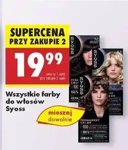 Biedronka Wszystkie farby do włosów Syoss oferta
