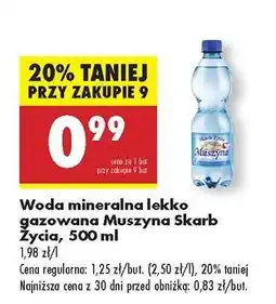 Biedronka Woda mineralna lekko gazowana Muszyna Skarb Życia, 500 ml oferta