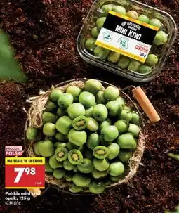 Biedronka Polskie mini kiwi opak . 125 g oferta