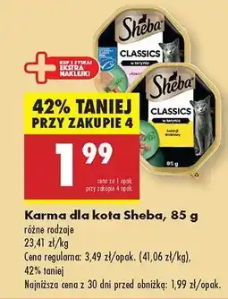 Biedronka Karma dla kota Sheba, 85 g oferta