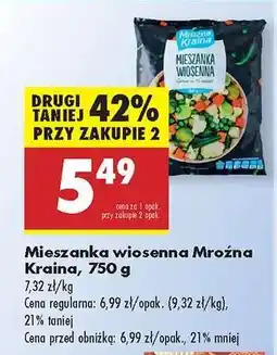 Biedronka Mieszanka wiosenna Mroźna Kraina 750 g oferta