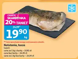Auchan Ryba nototenia, tusza Auchan oferta