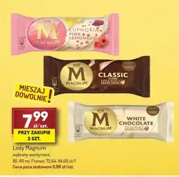 Avita Lody Magnum oferta