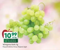 Avita Winogrona białe oferta