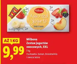 Lidl Brzoskwinia Milbona oferta