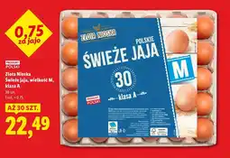 Lidl Jaja Złota nioska oferta