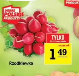 Gram Market Rzodkiewka oferta
