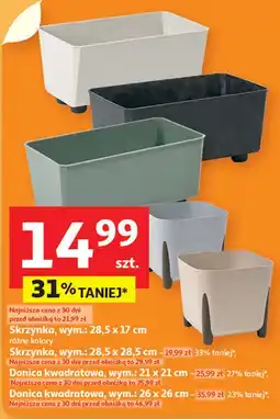 Auchan Skrzynka 26 x cm oferta
