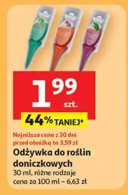 Auchan Odżywka do storczyków Agrecol oferta