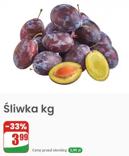 Dino Śliwka kg oferta