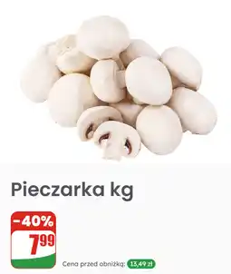 Dino Pieczarka kg oferta