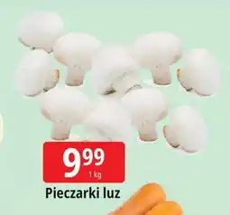 E.Leclerc Pieczarki oferta