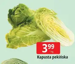 E.Leclerc Kapusta pekińska oferta