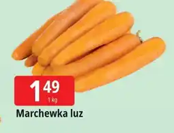 E.Leclerc Marchew oferta