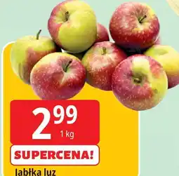 E.Leclerc Jabłka oferta