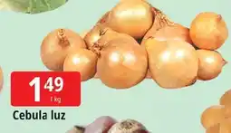 E.Leclerc Cebula żółta oferta