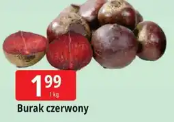 E.Leclerc Buraki czerwone oferta