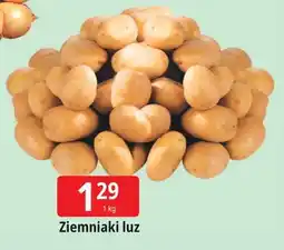 E.Leclerc Ziemniaki oferta