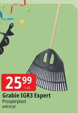 E.Leclerc Grabie igr3 expert antracyt Prosperplast oferta