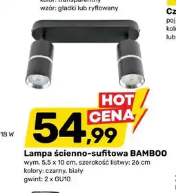 Bricomarche Lampa ścienno-sufitowa BAMBOO oferta
