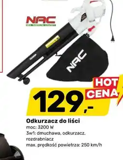 Bricomarche Odkurzacz do liści NAC oferta
