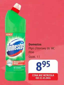 dm drogerie markt Domestos Płyn chlorowy do WC Pine oferta