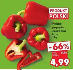 Kaufland Papryka czerwona polska Kaufland oferta