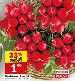 Twój Market Rzodkiewka Twój Market oferta