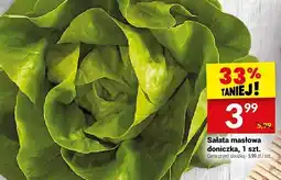 Twój Market Sałata masłowa Twój Market oferta