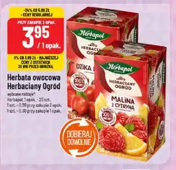 Polomarket Herbata owocowa Herbaciany Ogród Herbapol oferta