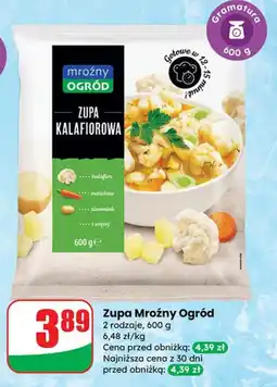 Dino Zupa kalafiorowa Mroźny Ogród oferta