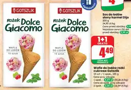 Dino Wafle do lodów rożki cukrowe Gotszlik oferta