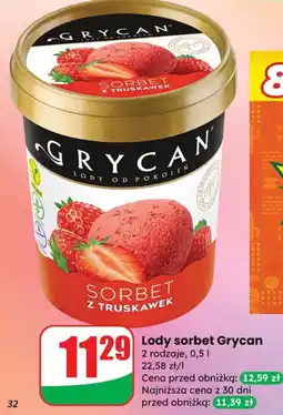 Dino Lody sorbet Grycan 2 rodzaje oferta