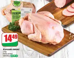 Dino Kurczak sielski Dino oferta