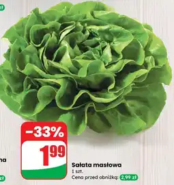 Dino Sałata masłowa Dino oferta