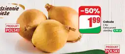 Dino Cebula Dino oferta