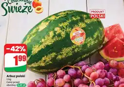 Dino Arbuz polski Dino oferta