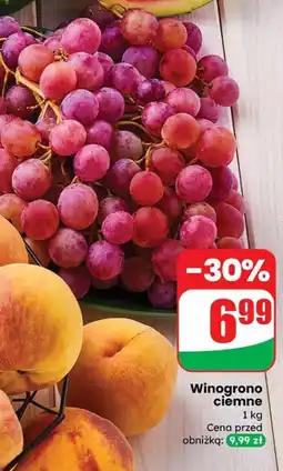 Dino Winogrono ciemne Dino oferta
