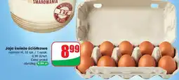 Dino Jajka świeże ściółkowe Dino oferta