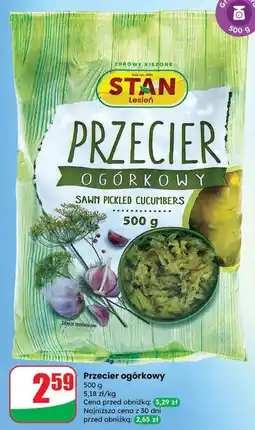 Dino Przecier ogórkowy Stan oferta