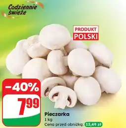 Dino Pieczarki Dino oferta