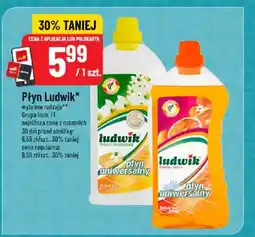 Polomarket Płyn Ludwik Grupa Inco oferta