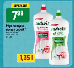 Polomarket Płyn do mycia naczyń Ludwik Grupa Inco oferta