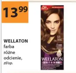 Drogerie Laboo Farba Wellaton oferta